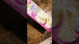 Trying Walmart&rsquo;s EXCLUSIVE Birthday Cake Creme Pies! Is It Worth It? #tasty #review #fypシ #shorts