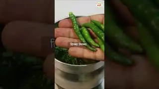 चविष्ट शेगांव कचोरी