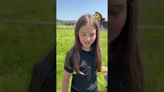 Wenn ich du w&auml;re&hellip;😂😂😂 #pferdem&auml;dchen #horse #reiter #equestrian #pferde #funnyvideo