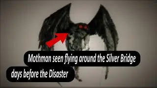The Mothman and Collapse of The Silver Bridge