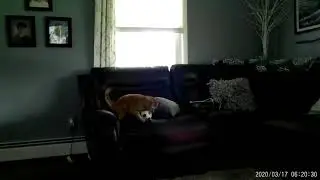 Kitty Roo soccer