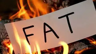 Fat burn (Morphic Field)