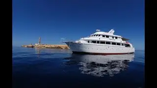Diveworld Hungary - Egyiptom Brothers-Daedalus szafari 2016 m&aacute;jus&aacute;ban