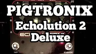 Pigtronix Echolution 2 Deluxe Demo