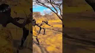 A Sudden Charge in the Bush &mdash; Hunters React in Seconds