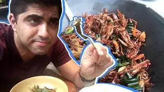 The future of food may be crickets and worms | CNBC Reports