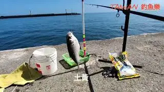 TAIWAN 釣魚樂-烏石港釣什麼魚？北堤開放釣魚-北臺灣獨門釣法-魚都能釣上岸#臺灣釣魚#臺灣旅遊 #臺灣美食