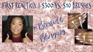 First Reaction | $300 (Sigma Makeup Brushes)  vs. $10 (Amazon Makeup Brushes)