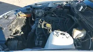 Звук мотора Ford  от 2012 Ford Mustang V6 Premium 1ZVBP8AM5C5245322