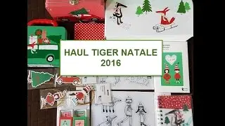 Haul Tiger novembre 2016 / Haul Tiger Natale 2016