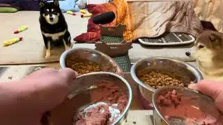 1月30日喧しい我が家の御飯時🍚あるじのカルボナーラを添えて