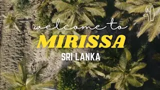 Surf & Yoga Retreats, Mirissa