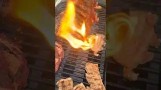 Weber Traveller Gas Grill vs beef #webergrill #grill #beef #beefeater