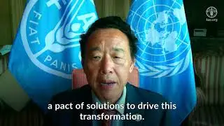 FAO DG QU Dongyu's video message for the UN Decade on Ecosystem Restoration