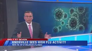 Knoxville #2 for Flu activity, Paid Maternity Leave, Neyland Stadium Beer Sales │The Seven