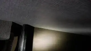 DSCF4011