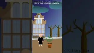 &iquest;C&oacute;mo CRECEN las PLANTAS?