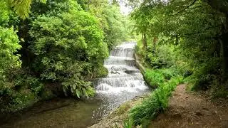 Korokoro Dam from Cornish St - Belmont Regional Park - Hyperlapse - Dec 2022