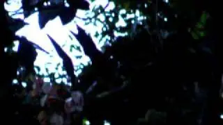 Simon's nest building behaviour 0024.AVI
