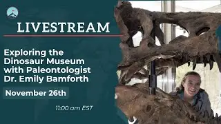 Exploring the Dinosaur Museum With Paleontologist Dr. Emily Bamforth