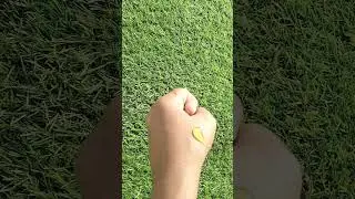 Wow apple cider vinegar face wash#review#wow#facewash#ytshorts#youtubeshorts#trendingshorts