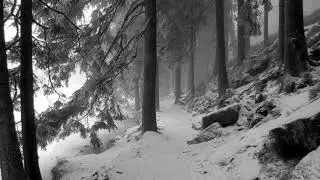 Xasthur - Subliminal Genocide (Full Album) (2006)