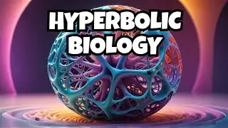 Can Life Exist in Higher Dimensions? Biology in Hyperbolic Spaces