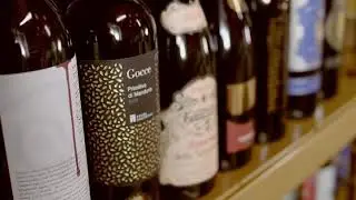 Vertigo Wine Distribution