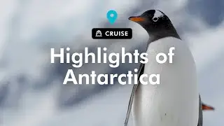 TripADeal - Highlights of Antarctica with Hurtigruten Expeditions