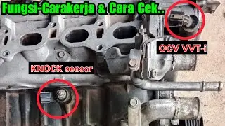 Cara pemeriksaan knock sensor dan ocv (vvti)