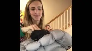 Packing the Colugo Carrier Cozy