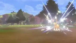 Shiny Mudbray Encounter (Full Odds) | Pok&eacute;mon Sword #Shorts