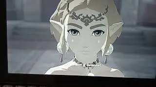 bye bye Sonia (totk)