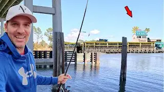 Catching Big Fish in Front of a Famous Restaurant! *Catch, Clean, & Cook*
