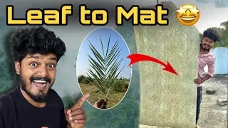 Handmade Palm Leaf Mat Making Process | Traditional Village Craft | Eco-Friendly Mat 
