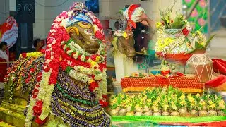 வேந்தன்பட்டி  அருள்மிகு நந்தி கோவிலில் 108 கலசபிஷேகம் ஹோமம் நிகழ்ச்சி 2024