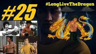 Long Live The Dragon (Retirement) : Bruce Lee UFC 3 Career Mode Part 25: UFC 3 Career Mode (PS4)