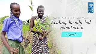Supporting Ugandan farmers to implement nature-based solutions: Moyo District Farmers Association