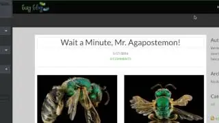 How'd They Do That? Create a Blog Post