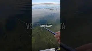 Собирайте чемоданы, дети, мы переезжаем! #шорты