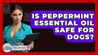 Is Peppermint Essential Oil Safe For Dogs? - Ask A Pet Vet