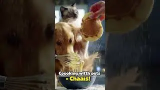 Hilarious Cat! 🐈| #Cathov #Shorts #aicat  #ai #cat #funnypets #cookingfails  #viralshorts
