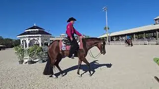 Jim & Loki Venice 