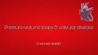 Pressure-volume loops & valvular disease 
