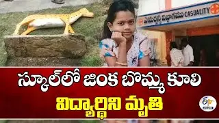 2nd Class Student Dead After Cement Deer Statue Collapses | Konaseema's Pedapudi