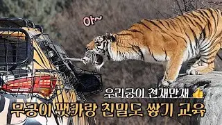 [2826,1,22] 대방사장 무궁이 트레이닝 완전 짱 잘했어요👍 (공부 잘하는건 유전이라궁 )