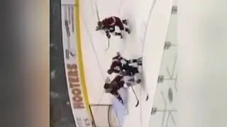 Best dangles nhl
