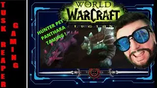 WOW Legion Hunter Pet Type Panthara Taming