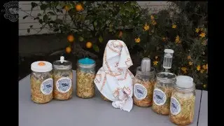 Fermentation Device SMACKDOWN- Part 1 of 4