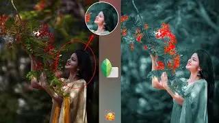 Snapseed Creative Background Change Effect | New Background Change Photo Editing | HCN Editing